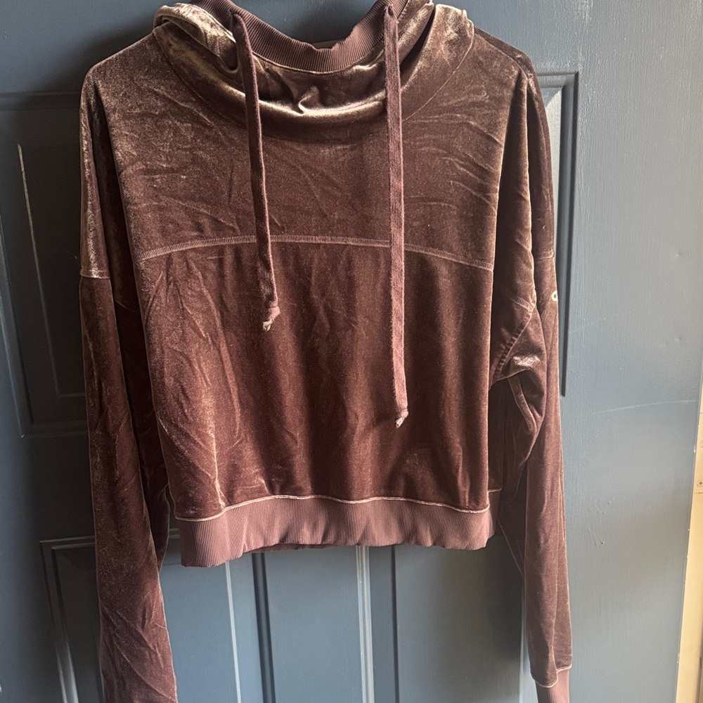 ALO Yoga Brown Velvet Cropped Hoodie